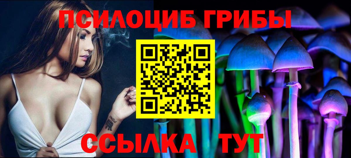 Волхов  Галлюциногенные грибы Psilocybe  Псилоцибиновые грибы Psilocybine cubensis  Вход с VPN 