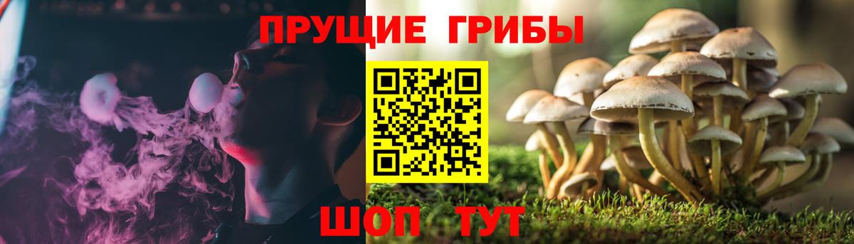 Галлюциногенные грибы MAGIC MUSHROOMS Волхов